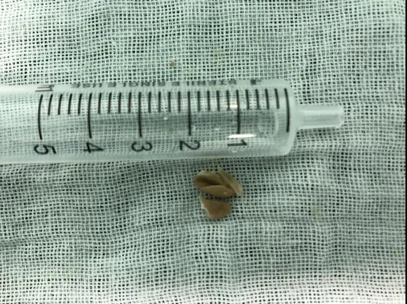 微信图片_20220110162731