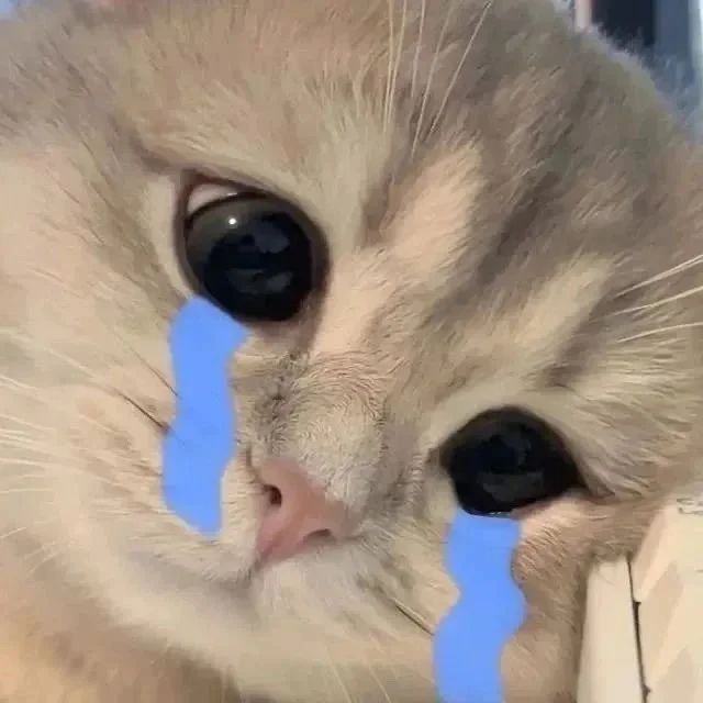 c10b77b4e4baf42061b856657f3699f6 c10b77b4e4baf42061b856657f3699f6